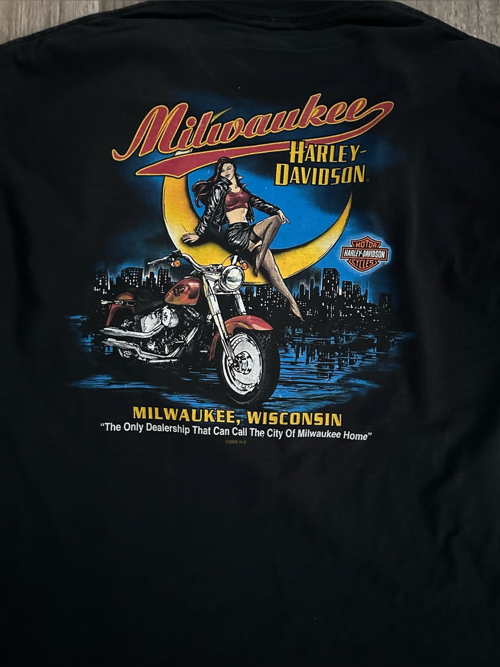 Harley-Davidson Milwaukee 110th Anniversary Black Graphic Tee - Picture 5 of 7